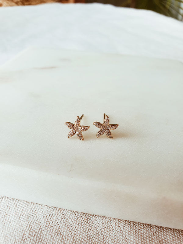 Boucles d'oreilles Shell