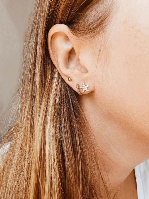 Boucles d'oreilles Shell